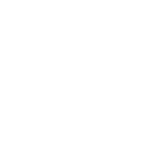 The True Lies Band